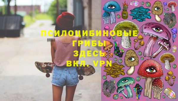 дмт Алзамай