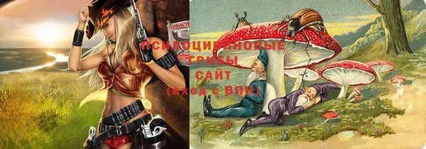 дмт Алзамай