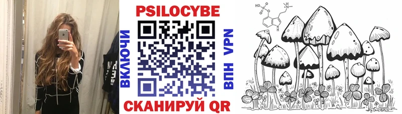 Галлюциногенные грибы Cubensis где продают наркотики Дзержинский
