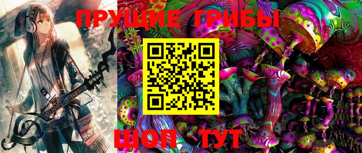 Псилоцибиновые грибы Cubensis Дзержинский